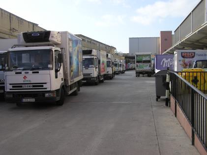 WD-Alf-Mizzi  fb.jpg