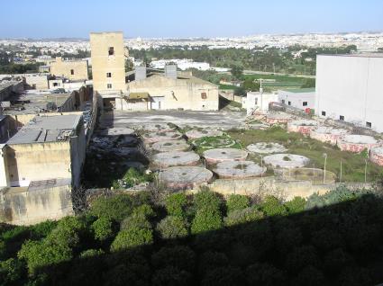 WD-Alf-Mizzi fbwfs.jpg