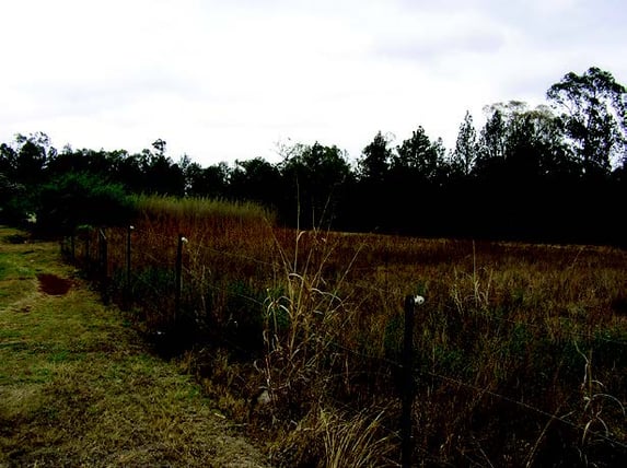 WD-SAB-Mooiplats sac.jpg